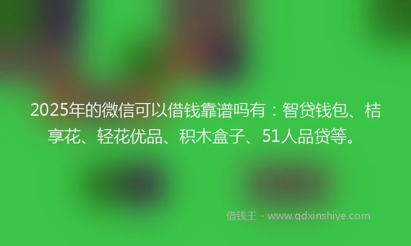 2025年的微信可以借钱靠谱吗有：智贷钱包、桔享花、轻花优品、积木盒子、51人品贷等。