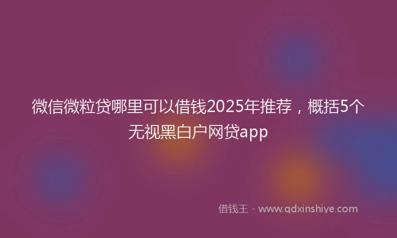 微信微粒贷哪里可以借钱2025年推荐，概括5个无视黑白户网贷app