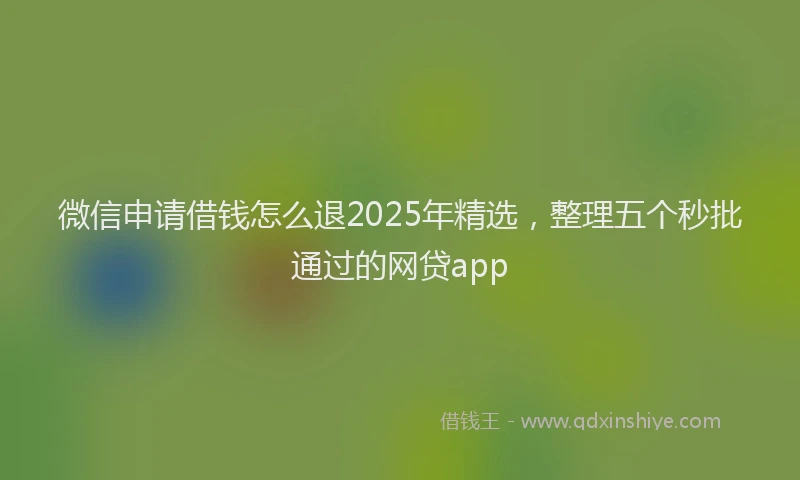 微信申请借钱怎么退2025年精选，整理五个秒批通过的网贷app
