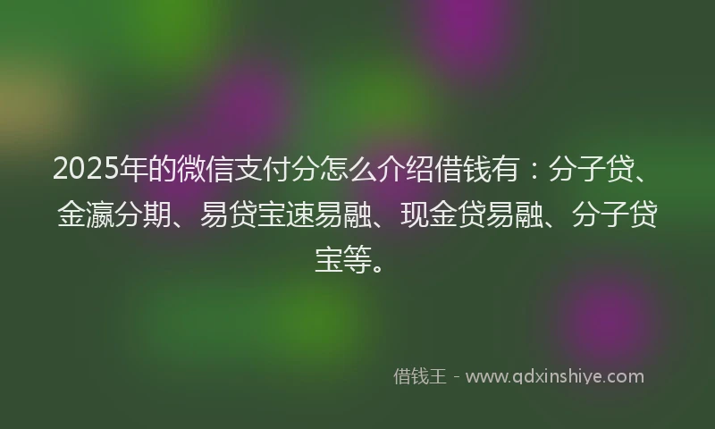 2025年的微信支付分怎么介绍借钱有：分子贷、金瀛分期、易贷宝速易融、现金贷易融、分子贷宝等。