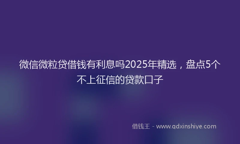 微信微粒贷借钱有利息吗2025年精选，盘点5个不上征信的贷款口子