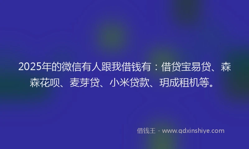 2025年的微信有人跟我借钱有：借贷宝易贷、森森花呗、麦芽贷、小米贷款、玥成租机等。