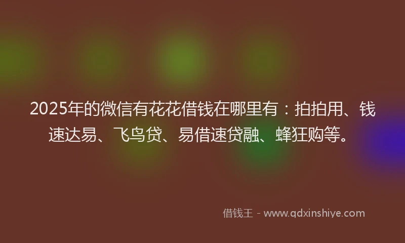 2025年的微信有花花借钱在哪里有：拍拍用、钱速达易、飞鸟贷、易借速贷融、蜂狂购等。