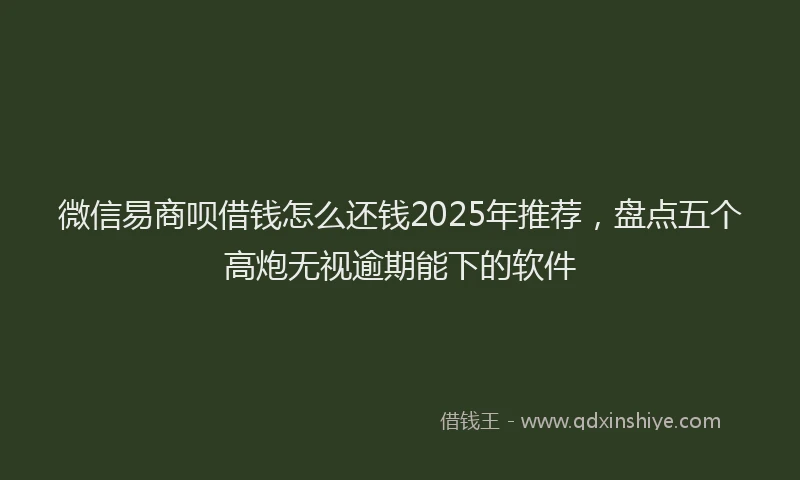 微信易商呗借钱怎么还钱2025年推荐，盘点五个高炮无视逾期能下的软件
