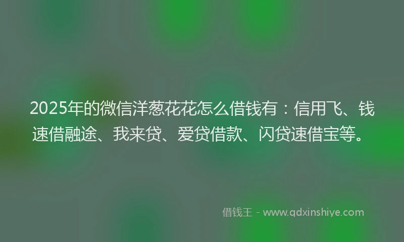 2025年的微信洋葱花花怎么借钱有：信用飞、钱速借融途、我来贷、爱贷借款、闪贷速借宝等。