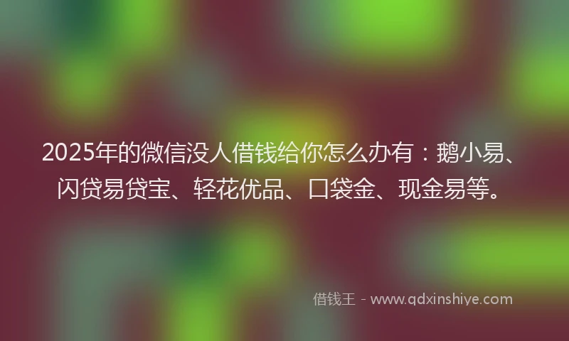 2025年的微信没人借钱给你怎么办有：鹅小易、闪贷易贷宝、轻花优品、口袋金、现金易等。
