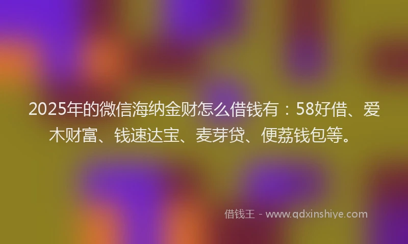 2025年的微信海纳金财怎么借钱有：58好借、爱木财富、钱速达宝、麦芽贷、便荔钱包等。