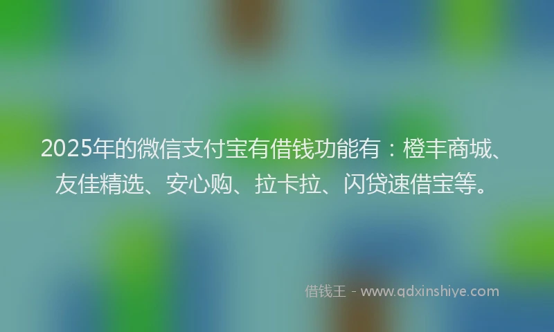 2025年的微信支付宝有借钱功能有：橙丰商城、友佳精选、安心购、拉卡拉、闪贷速借宝等。