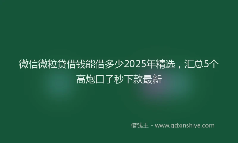 微信微粒贷借钱能借多少2025年精选，汇总5个高炮口子秒下款最新