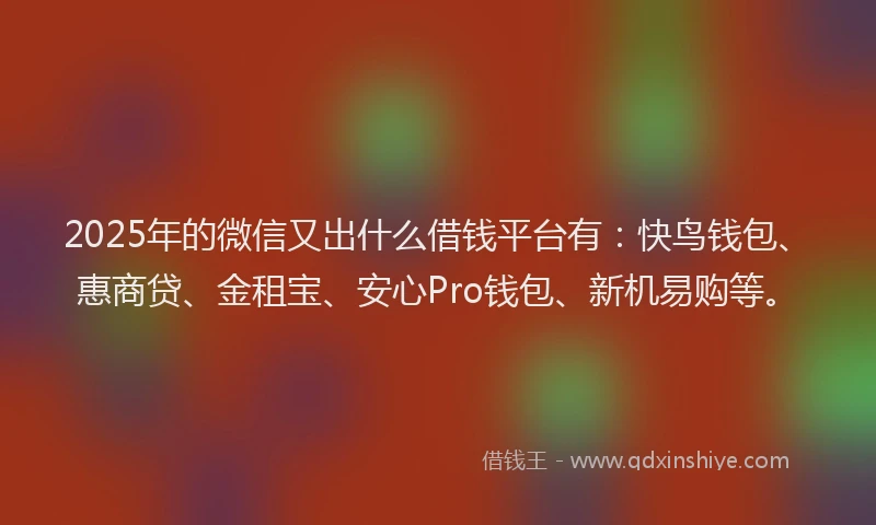 2025年的微信又出什么借钱平台有：快鸟钱包、惠商贷、金租宝、安心Pro钱包、新机易购等。
