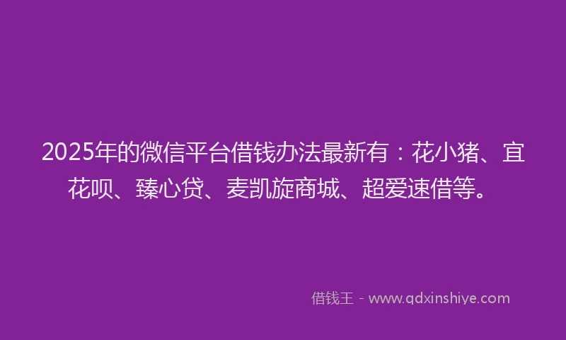 2025年的微信平台借钱办法最新有：花小猪、宜花呗、臻心贷、麦凯旋商城、超爱速借等。