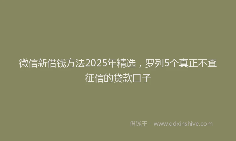 微信新借钱方法2025年精选，罗列5个真正不查征信的贷款口子