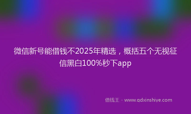 微信新号能借钱不2025年精选，概括五个无视征信黑白100%秒下app
