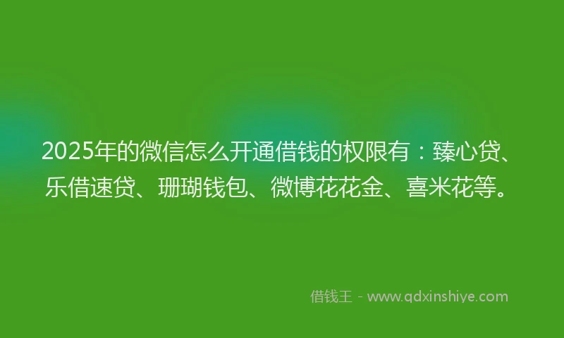 2025年的微信怎么开通借钱的权限有：臻心贷、乐借速贷、珊瑚钱包、微博花花金、喜米花等。