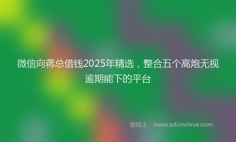 微信向蒋总借钱2025年精选，整合五个高炮无视逾期能下的平台