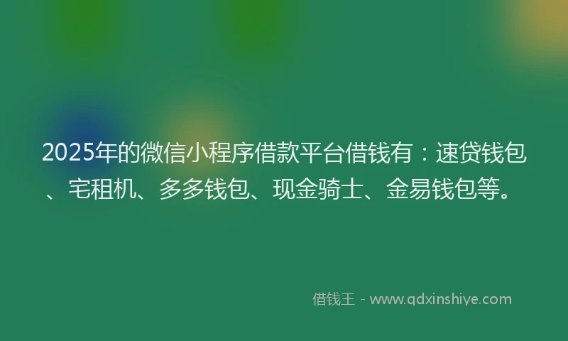 2025年的微信小程序借款平台借钱有：速贷钱包、宅租机、多多钱包、现金骑士、金易钱包等。