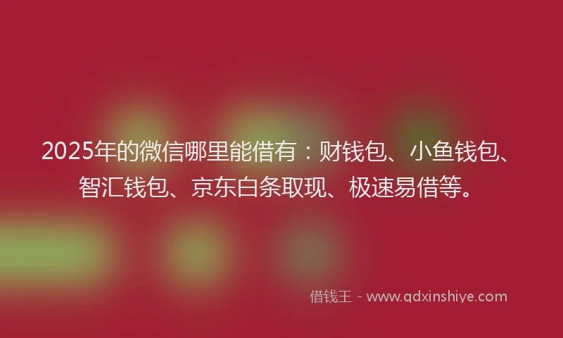 2025年的微信哪里能借有：财钱包、小鱼钱包、智汇钱包、京东白条取现、极速易借等。