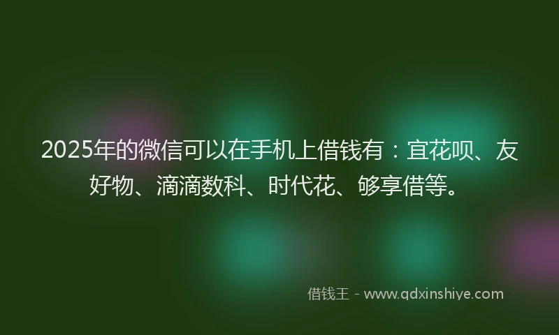 2025年的微信可以在手机上借钱有：宜花呗、友好物、滴滴数科、时代花、够享借等。