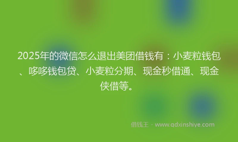 2025年的微信怎么退出美团借钱有：小麦粒钱包、哆哆钱包贷、小麦粒分期、现金秒借通、现金侠借等。