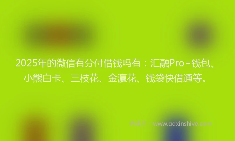 2025年的微信有分付借钱吗有：汇融Pro+钱包、小熊白卡、三枝花、金瀛花、钱袋快借通等。