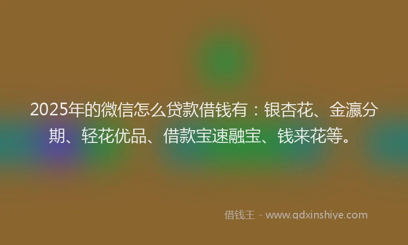 2025年的微信怎么贷款借钱有：银杏花、金瀛分期、轻花优品、借款宝速融宝、钱来花等。