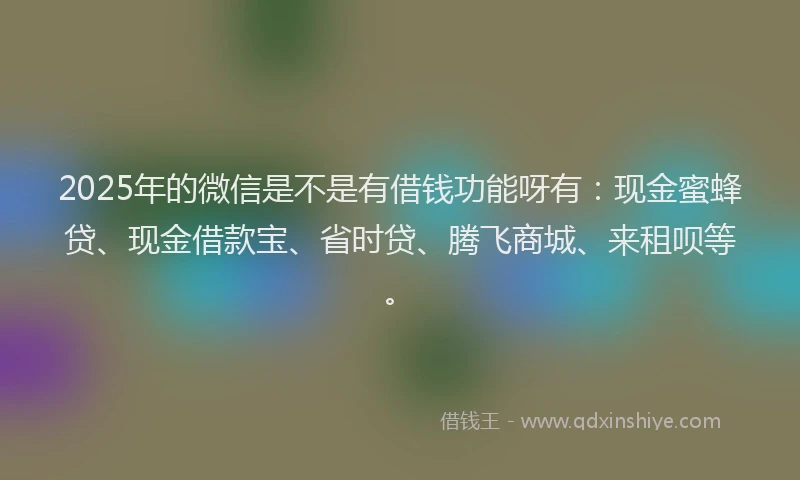2025年的微信是不是有借钱功能呀有：现金蜜蜂贷、现金借款宝、省时贷、腾飞商城、来租呗等。