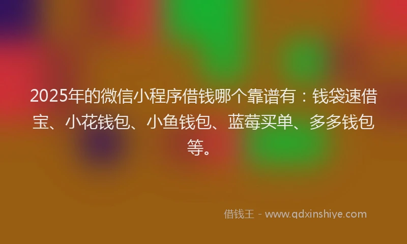 2025年的微信小程序借钱哪个靠谱有：钱袋速借宝、小花钱包、小鱼钱包、蓝莓买单、多多钱包等。