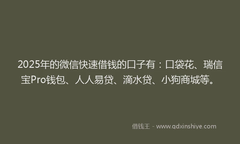 2025年的微信快速借钱的口子有：口袋花、瑞信宝Pro钱包、人人易贷、滴水贷、小狗商城等。
