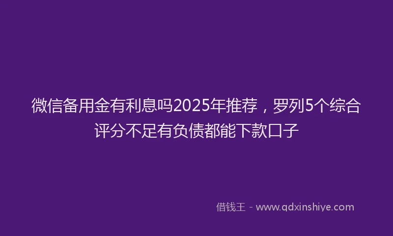 微信备用金有利息吗2025年推荐，罗列5个综合评分不足有负债都能下款口子
