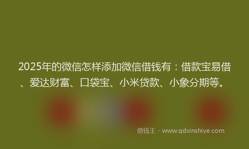 2025年的微信怎样添加微信借钱有：借款宝易借、爱达财富、口袋宝、小米贷款、小象分期等。