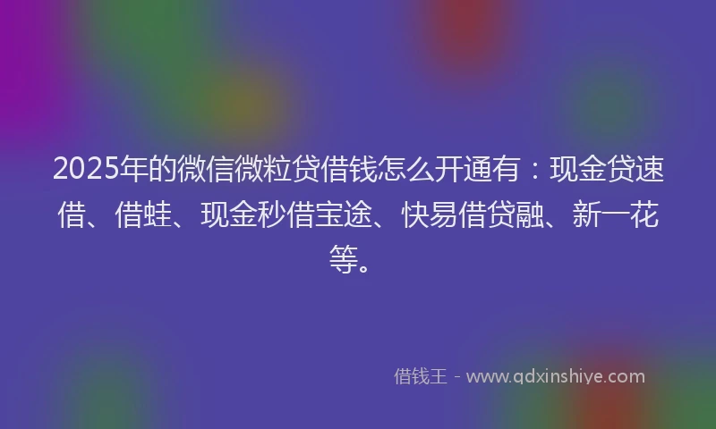 2025年的微信微粒贷借钱怎么开通有：现金贷速借、借蛙、现金秒借宝途、快易借贷融、新一花等。