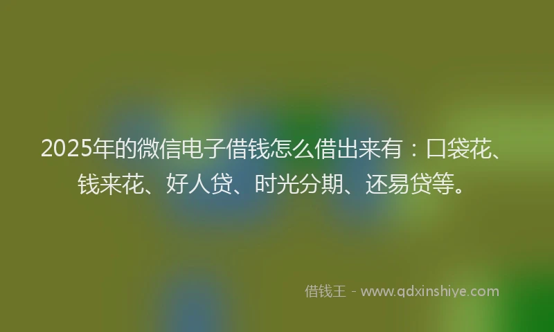 2025年的微信电子借钱怎么借出来有：口袋花、钱来花、好人贷、时光分期、还易贷等。