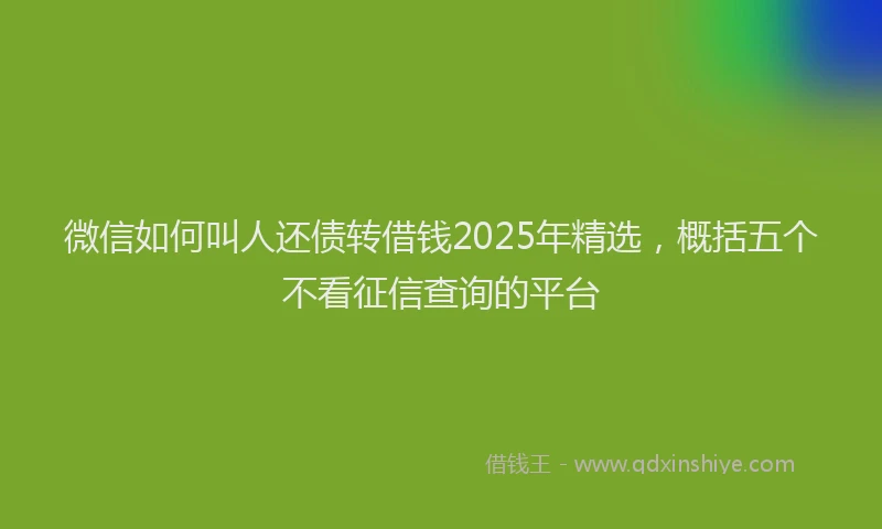 微信如何叫人还债转借钱2025年精选，概括五个不看征信查询的平台