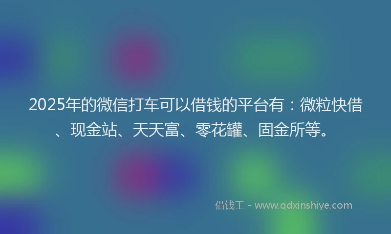 2025年的微信打车可以借钱的平台有：微粒快借、现金站、天天富、零花罐、固金所等。