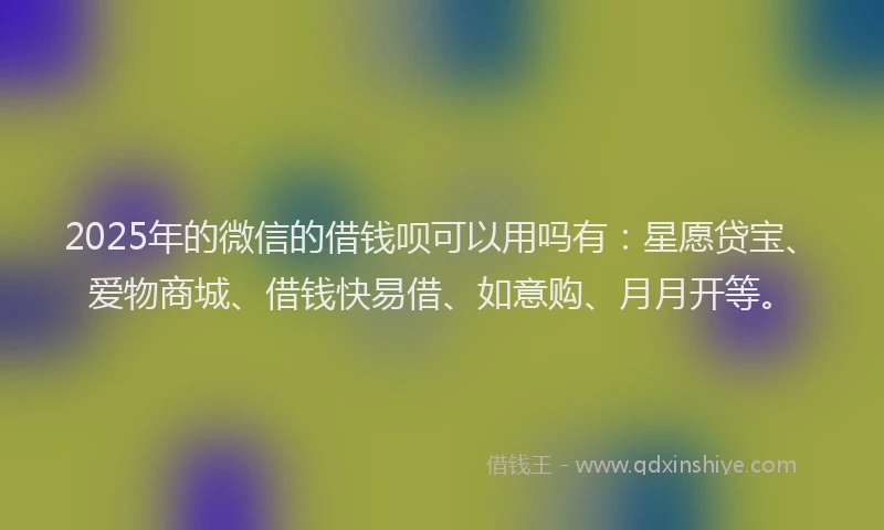 2025年的微信的借钱呗可以用吗有：星愿贷宝、爱物商城、借钱快易借、如意购、月月开等。