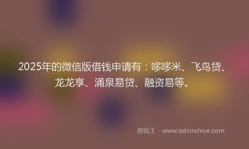 2025年的微信版借钱申请有：哆哆米、飞鸟贷、龙龙享、涌泉易贷、融资易等。