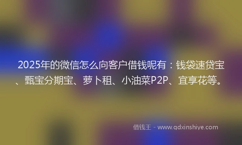2025年的微信怎么向客户借钱呢有：钱袋速贷宝、甄宝分期宝、萝卜租、小油菜P2P、宜享花等。