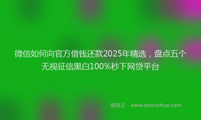 微信如何向官方借钱还款2025年精选，盘点五个无视征信黑白100%秒下网贷平台