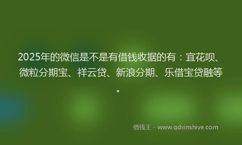 2025年的微信是不是有借钱收据的有：宜花呗、微粒分期宝、祥云贷、新浪分期、乐借宝贷融等。
