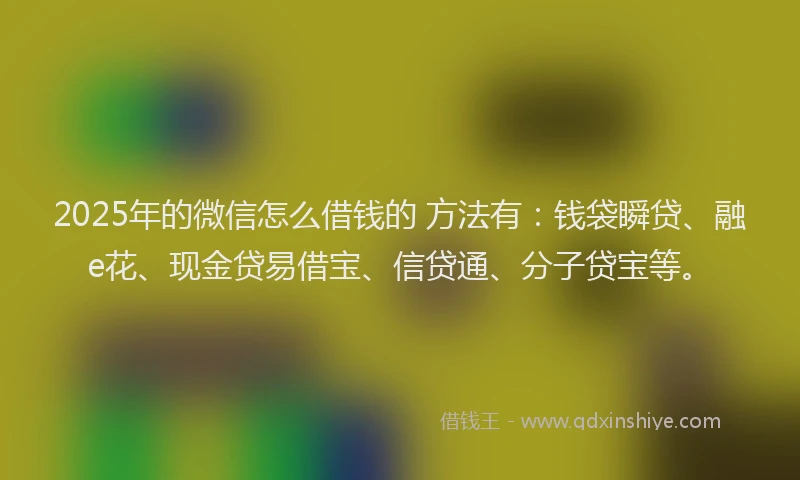 2025年的微信怎么借钱的 方法有：钱袋瞬贷、融e花、现金贷易借宝、信贷通、分子贷宝等。
