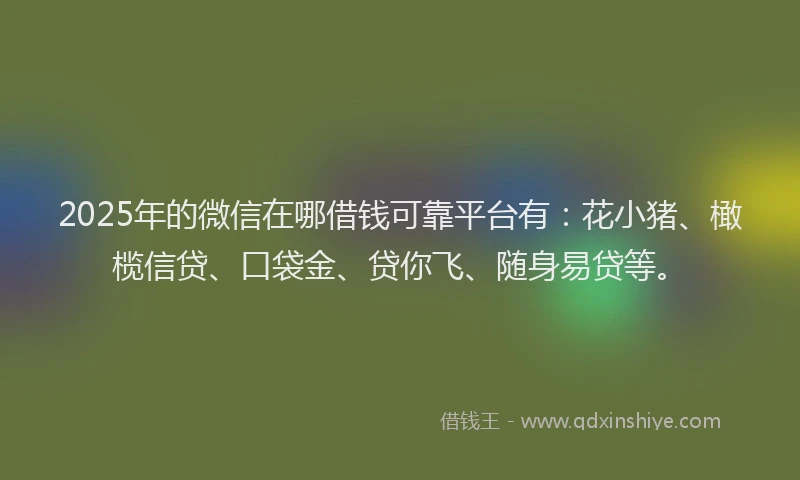 2025年的微信在哪借钱可靠平台有：花小猪、橄榄信贷、口袋金、贷你飞、随身易贷等。