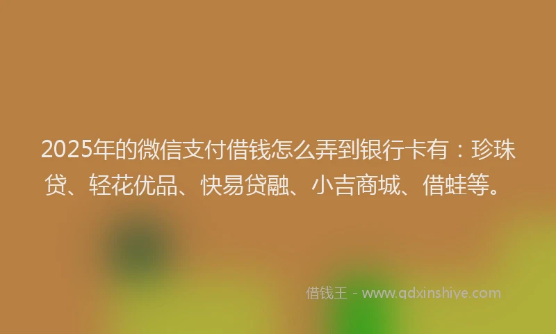 2025年的微信支付借钱怎么弄到银行卡有：珍珠贷、轻花优品、快易贷融、小吉商城、借蛙等。