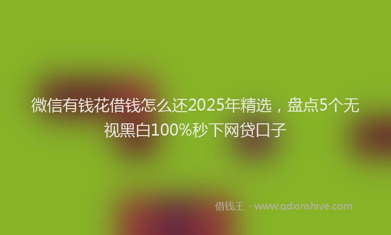 微信有钱花借钱怎么还2025年精选，盘点5个无视黑白100%秒下网贷口子