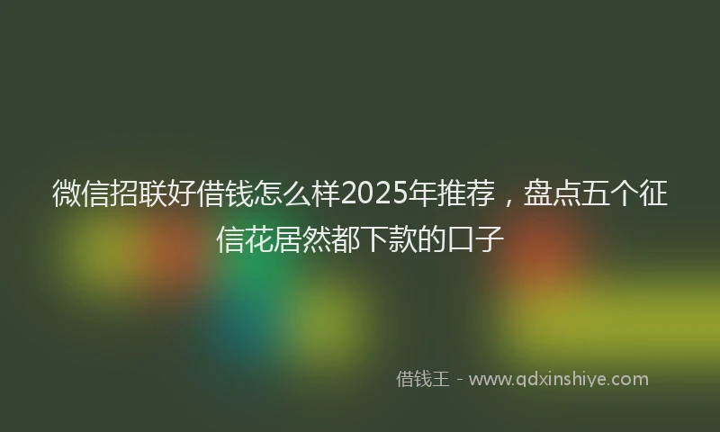 微信招联好借钱怎么样2025年推荐，盘点五个征信花居然都下款的口子