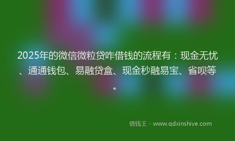 2025年的微信微粒贷咋借钱的流程有：现金无忧、通通钱包、易融贷盒、现金秒融易宝、省呗等。
