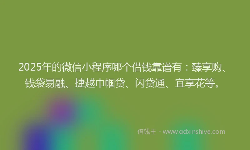 2025年的微信小程序哪个借钱靠谱有：臻享购、钱袋易融、捷越巾帼贷、闪贷通、宜享花等。