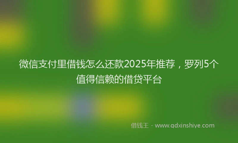 微信支付里借钱怎么还款2025年推荐，罗列5个值得信赖的借贷平台