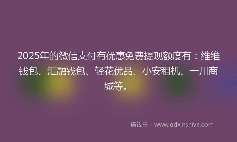 2025年的微信支付有优惠免费提现额度有：维维钱包、汇融钱包、轻花优品、小安租机、一川商城等。