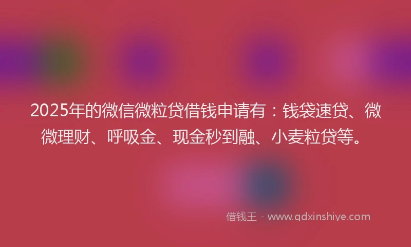 2025年的微信微粒贷借钱申请有：钱袋速贷、微微理财、呼吸金、现金秒到融、小麦粒贷等。
