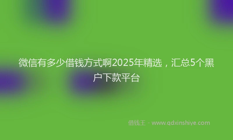 微信有多少借钱方式啊2025年精选，汇总5个黑户下款平台